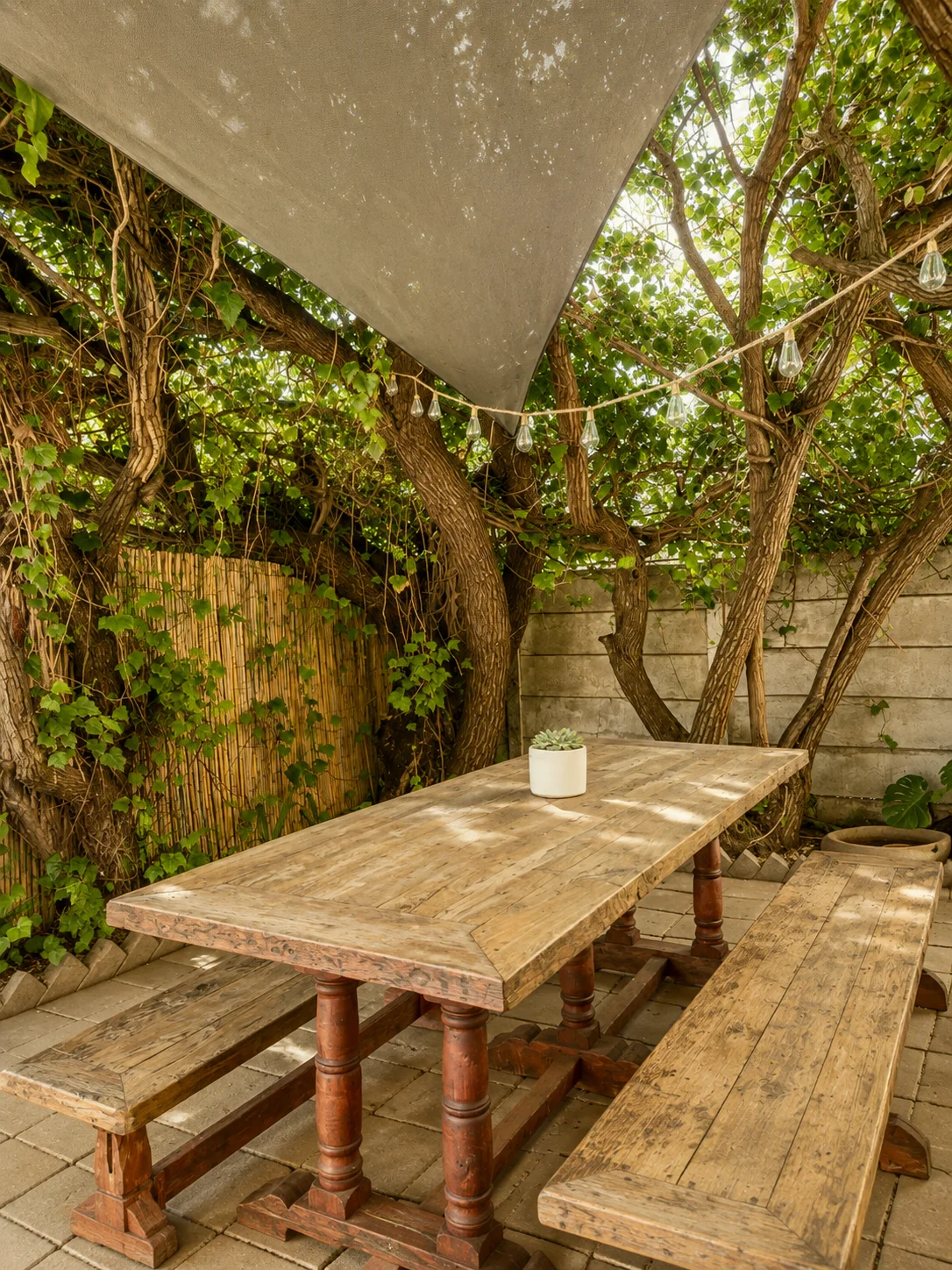 Rustic outdoor restaurant dining table with benches beneath trees and shade canopy