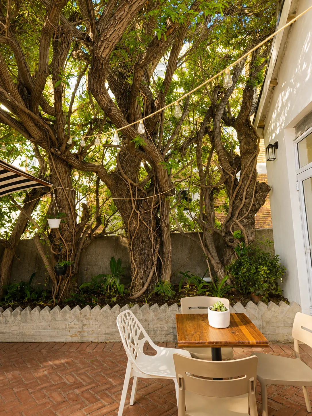 Outdoor restaurant courtyard seating beside mature trees and garden greenery