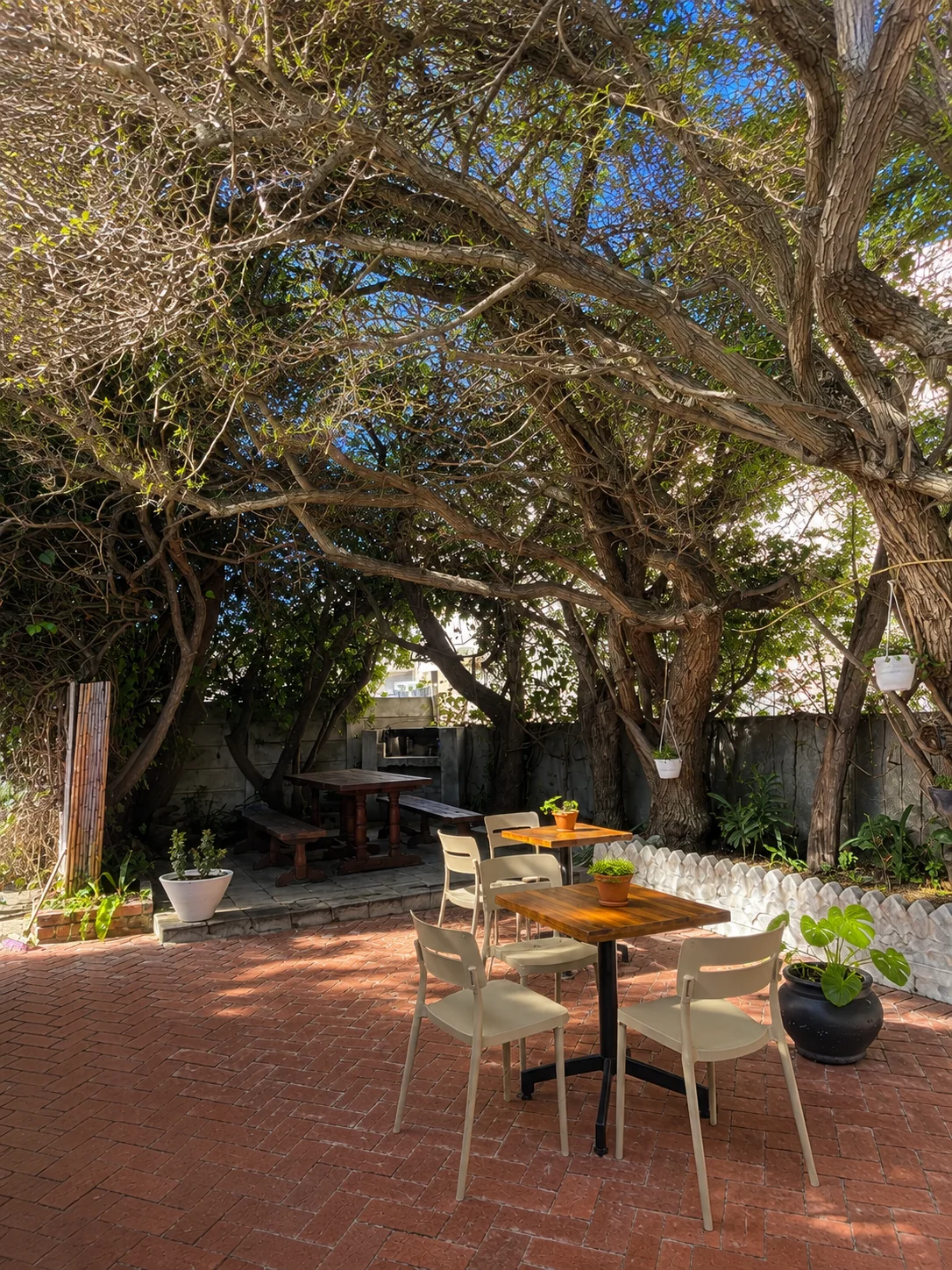 Shaded restaurant courtyard with outdoor tables and chairs beneath mature trees